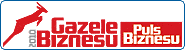 gazela2010